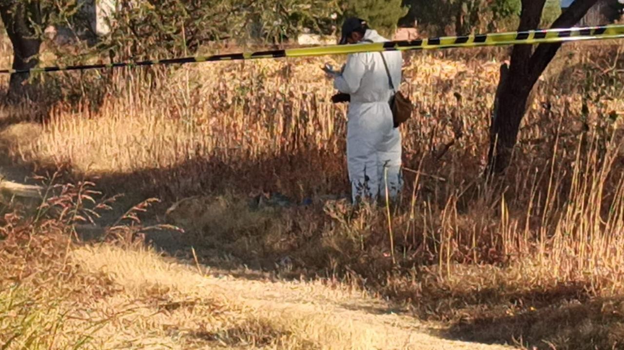 Otra fosa clandestina en Guanajuato: hallan restos de al menos 13 personas en Villagrán