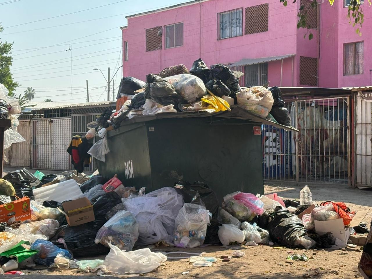 Vecinos denuncian acumulación de basura en calles y contenedores