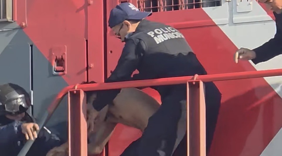 “No se quería bajar”: joven se sube “a la brava” a tren de carga en León