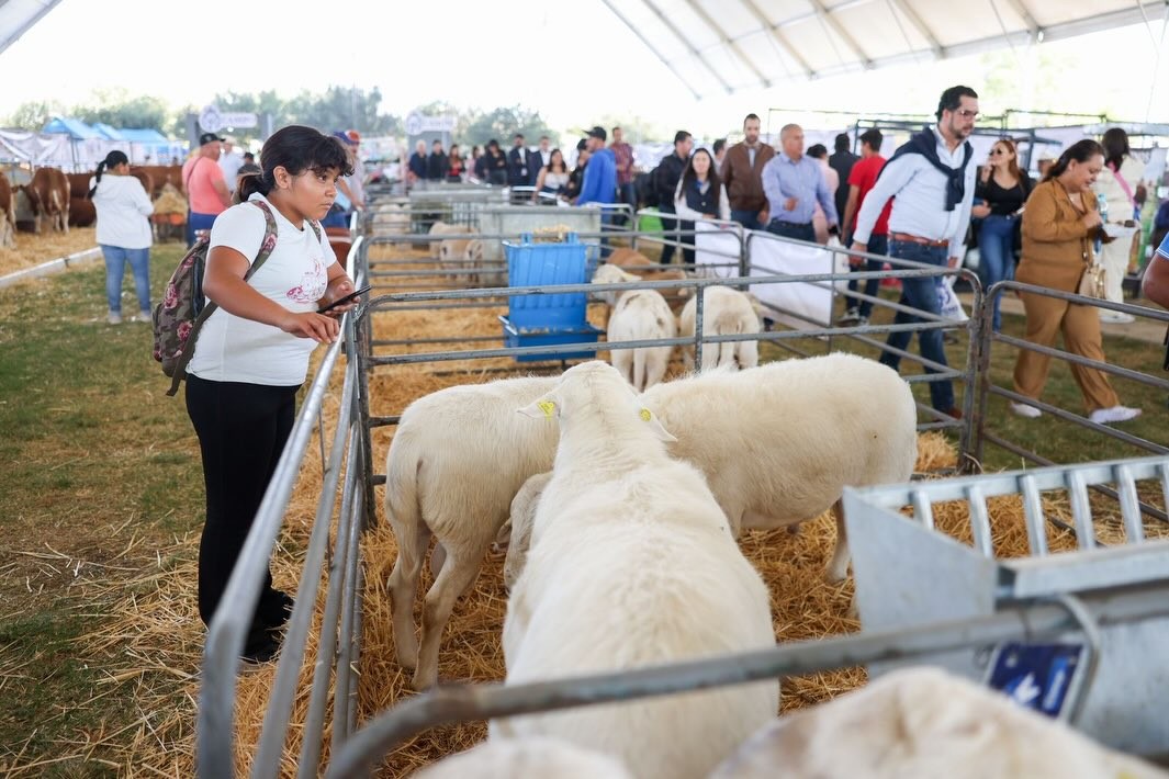 Expo Ganadera 2026 implementa nuevas medidas para el cuidado y bienestar de los animales Expo Ganadera 2026 implementa nuevas medidas para el cuidado y bienestar de los animales