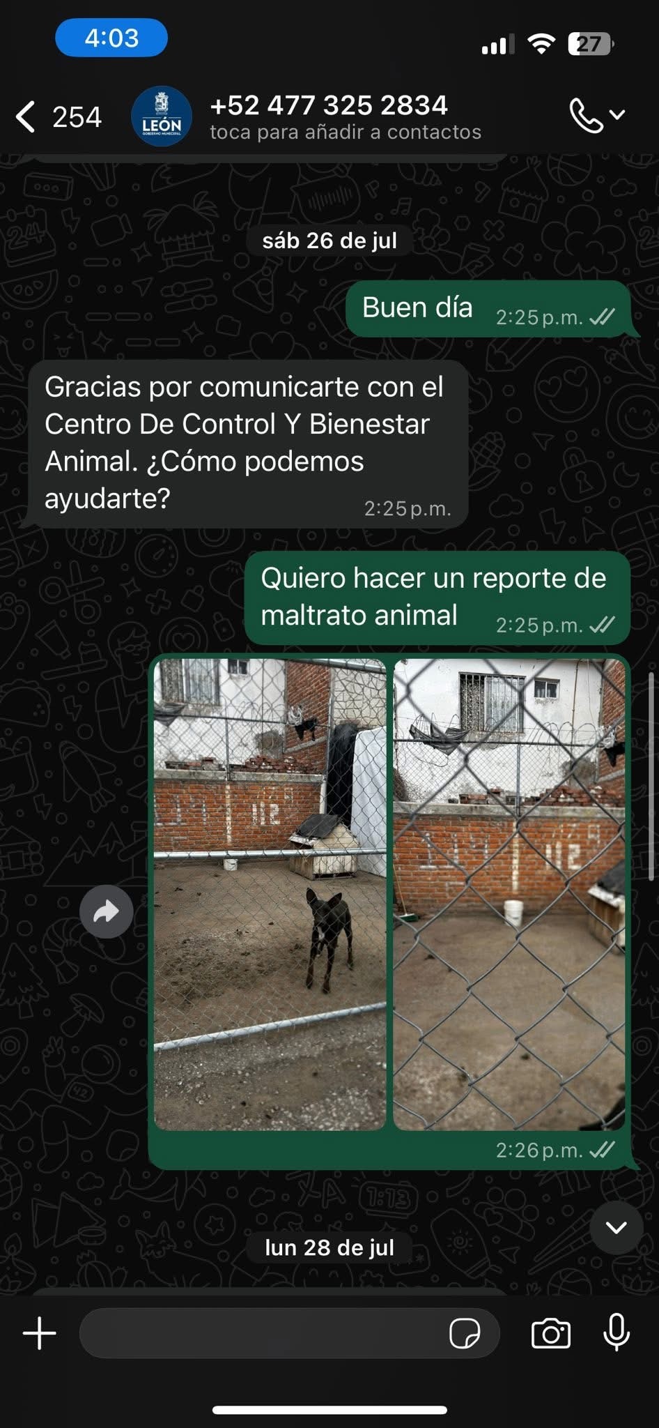 Maltrato animal en León; perrita lleva más de seis meses abandonada en condiciones insalubres Maltrato animal en León; perrita lleva más de seis meses abandonada en condiciones insalubres