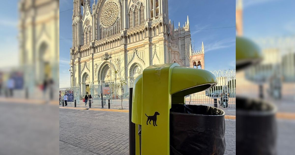 ¿Paseas a tu perro? Instalan papeleras especiales para desechos de mascotas en León