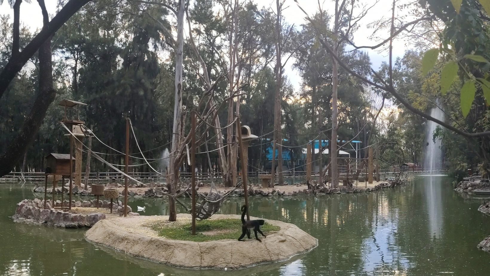 Zoológico de León aplaza nombramiento de director tras señalamientos contra candidato