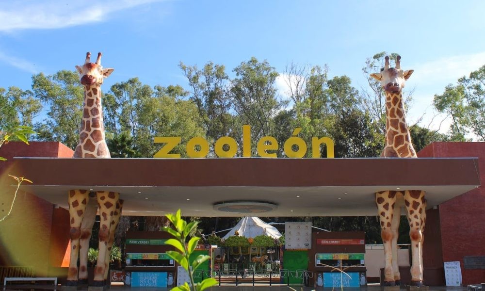 Nombramiento del nuevo director, sigue en suspenso por señalamientos de maltrato animal