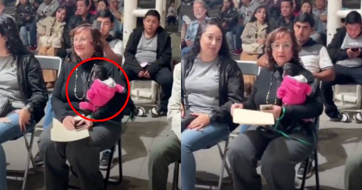 (VIDEO) Captan a regidora de Ocotlán con mono araña en evento y desata indignación en redes