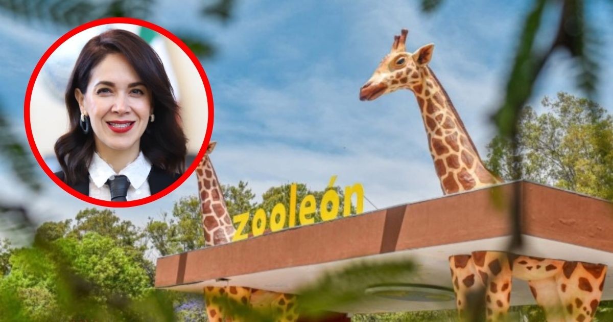 Tras polémica en el Zoológico de León, piden que Desarrollo Institucional elija perfiles y no despachos externos