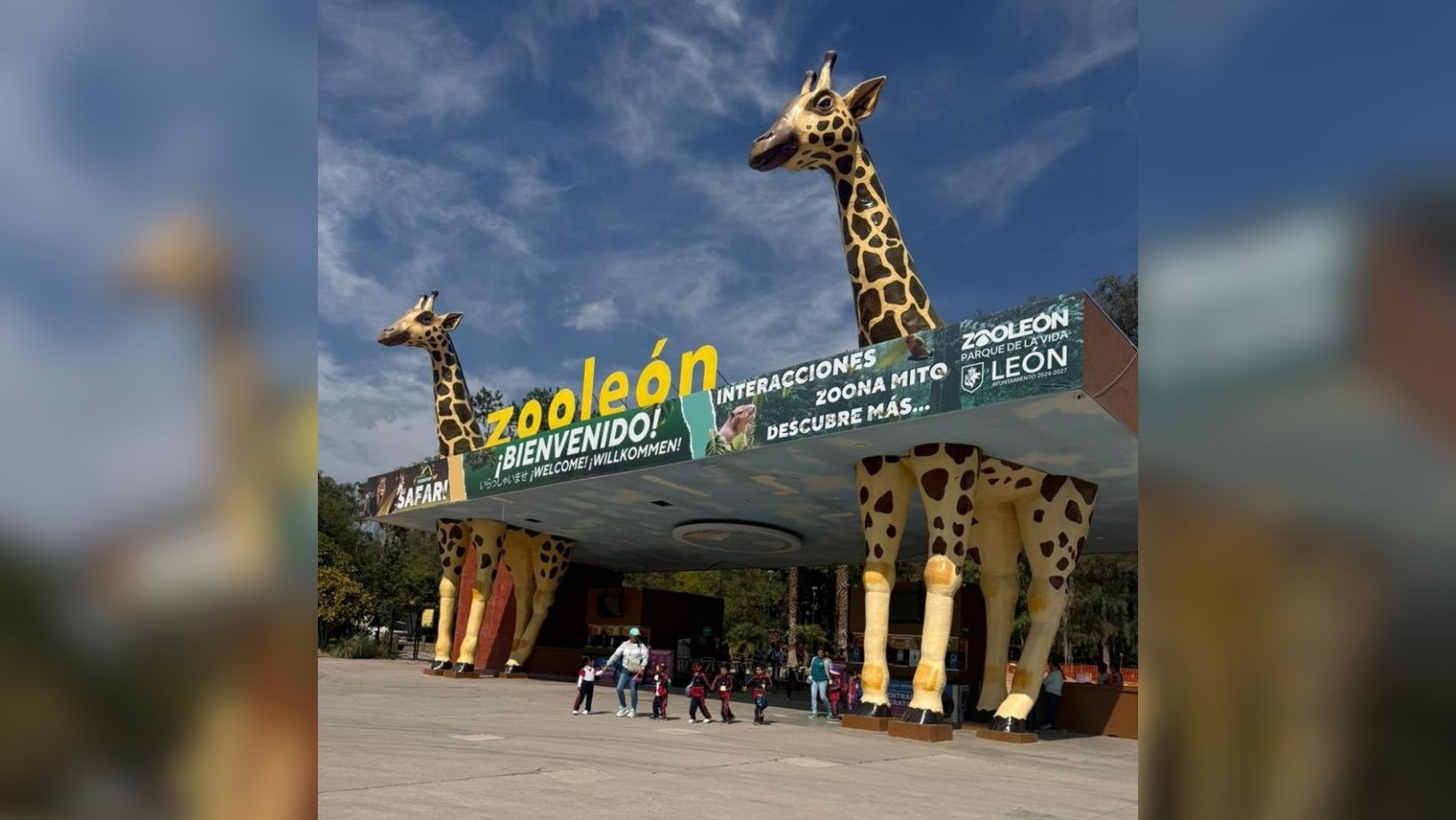 ¡Reinicio en el Zoológico! León busca nuevo director sin ayuda de la reclutadora cuestionada