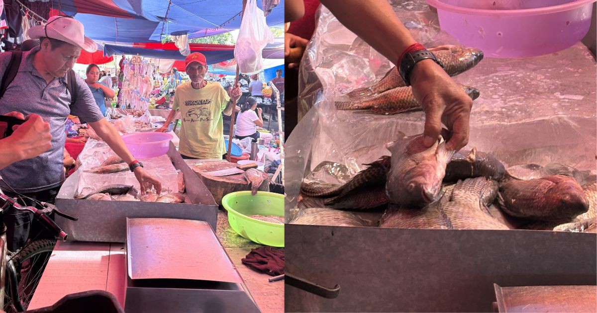 Profeco vigilará precios de mariscos en León durante la Cuaresma