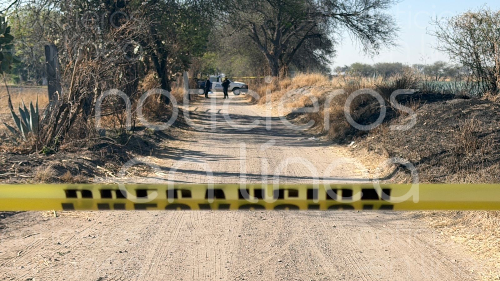 Hallan a mujer sin vida en camino rural de Silao; investigan homicidio