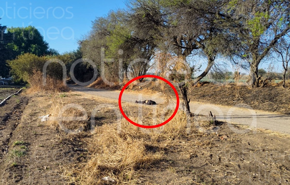 Hallan a mujer sin vida en camino rural de Silao; investigan homicidio