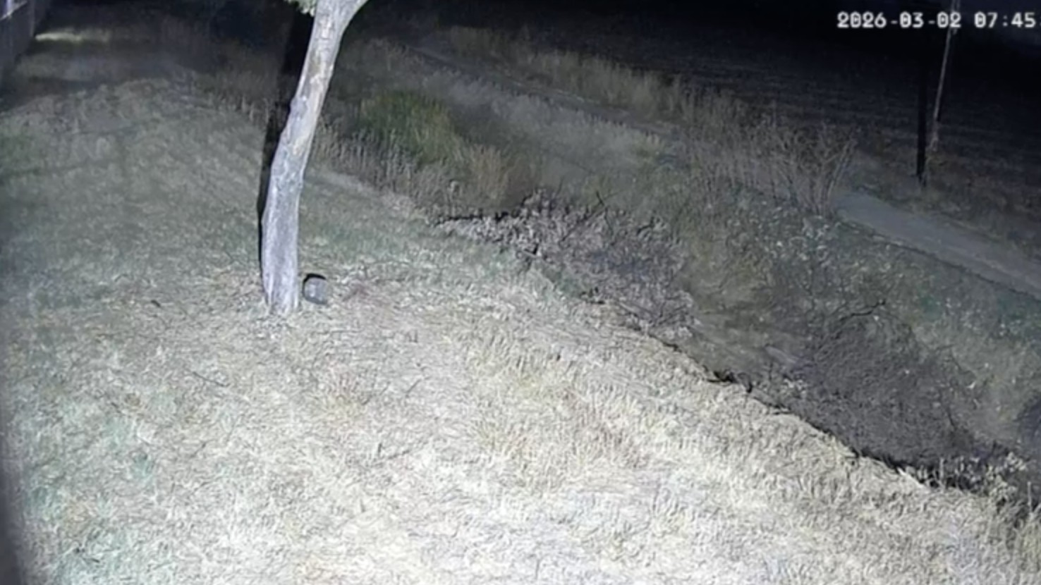 Incendios provocados generan gasto superior a 130 mil pesos en Celaya