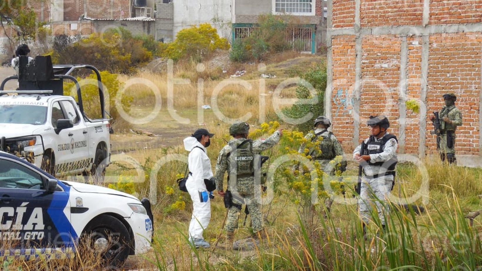 Entre matorrales y un arroyo: federales encuentran a un hombre degollado en un terreno baldío de la delegación Joyas