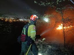 Alrededor del 90% de incendios en pastizales de León son provocados por humanos: Bomberos