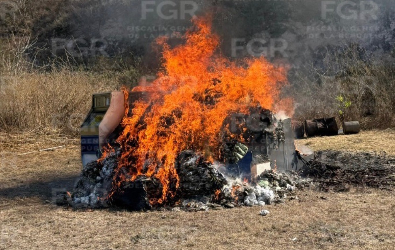 FGR incinera más de 450 kilos de droga aseguradas en operativos en Guanajuato
