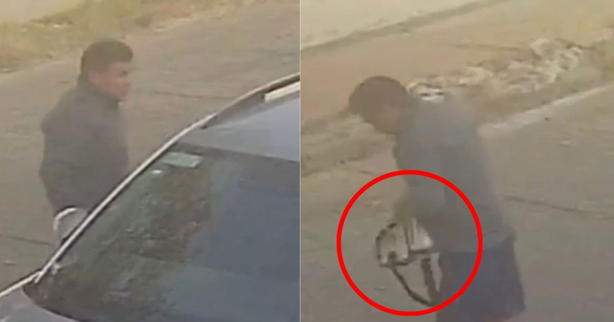 Robo a plena luz del día en León: ladrón se lleva bolso de una camioneta en segundos