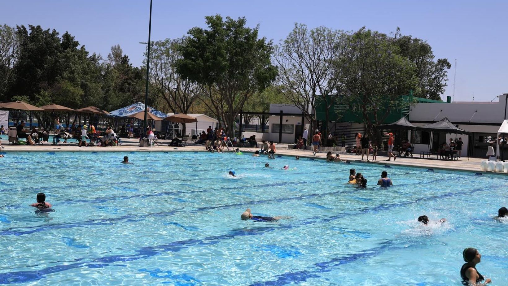 Del 30 de marzo al 5 de abril proponen acceso gratuito al Centro Acuático Ángel Camacho en León