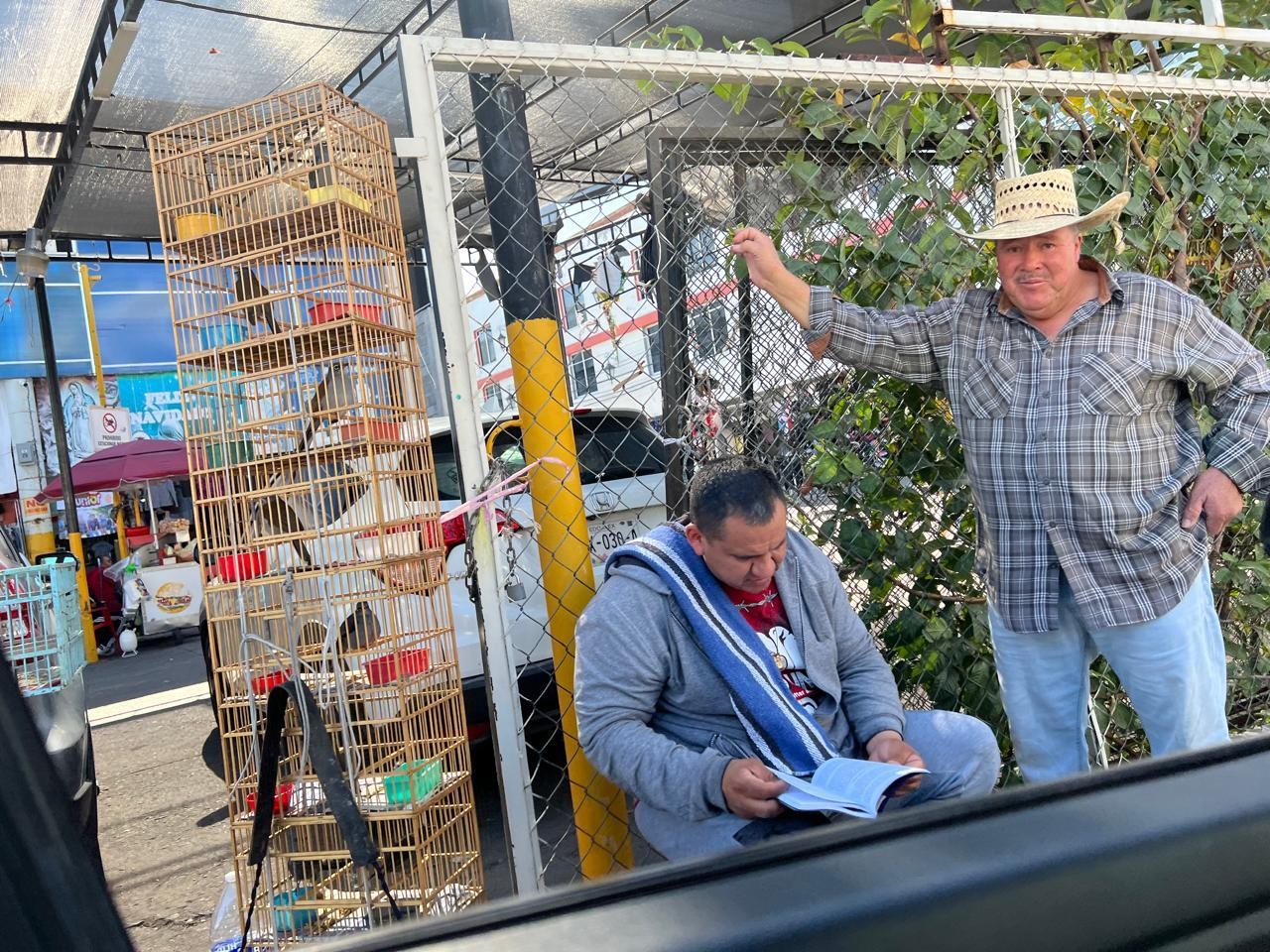 Detienen a vendedor de aves exóticas en el centro de Celaya por no tener permisos