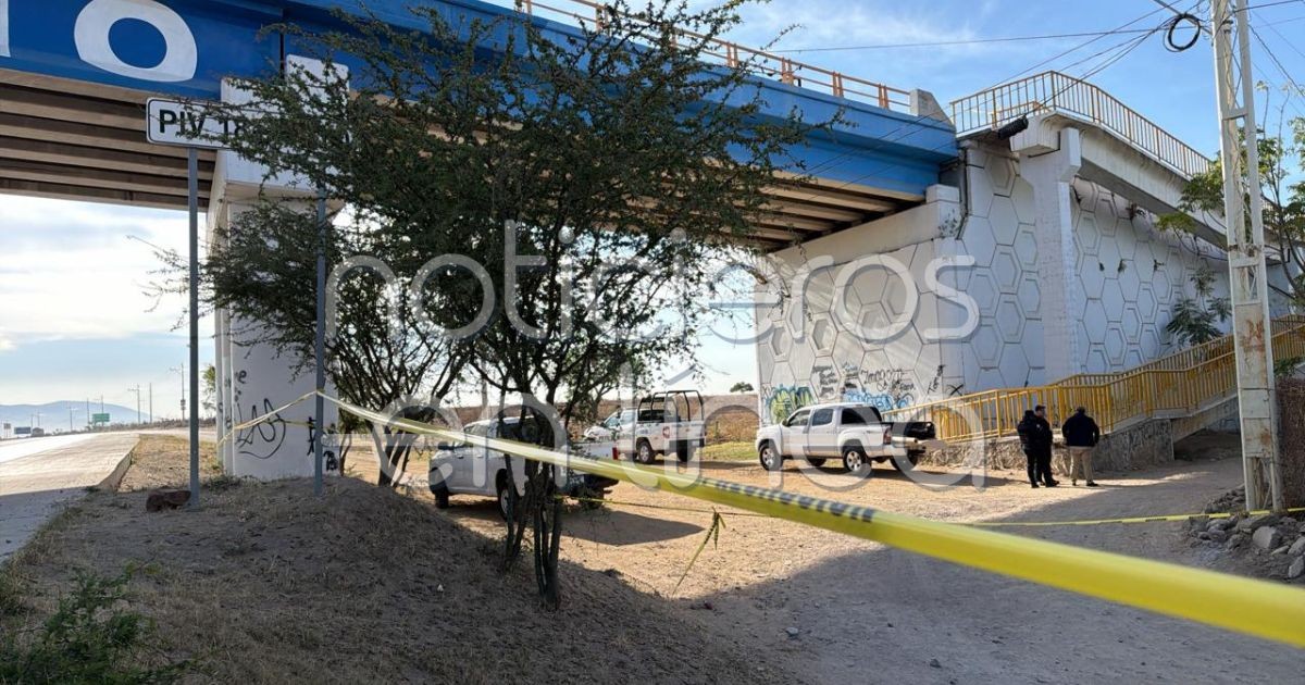 Hallan cuerpo calcinado y desmembrado en León; a medio kilómetro localizan una mano