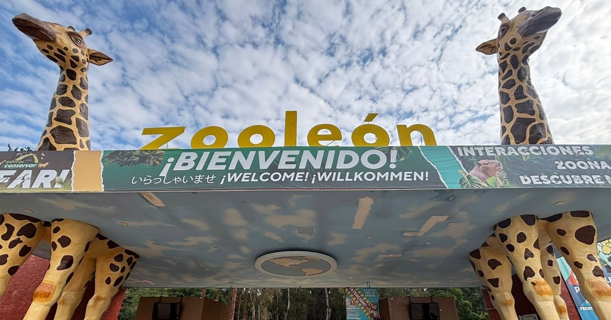 “¿Qué esconden?”: bajo reserva contrato de empresa que buscó director del Zoológico de León