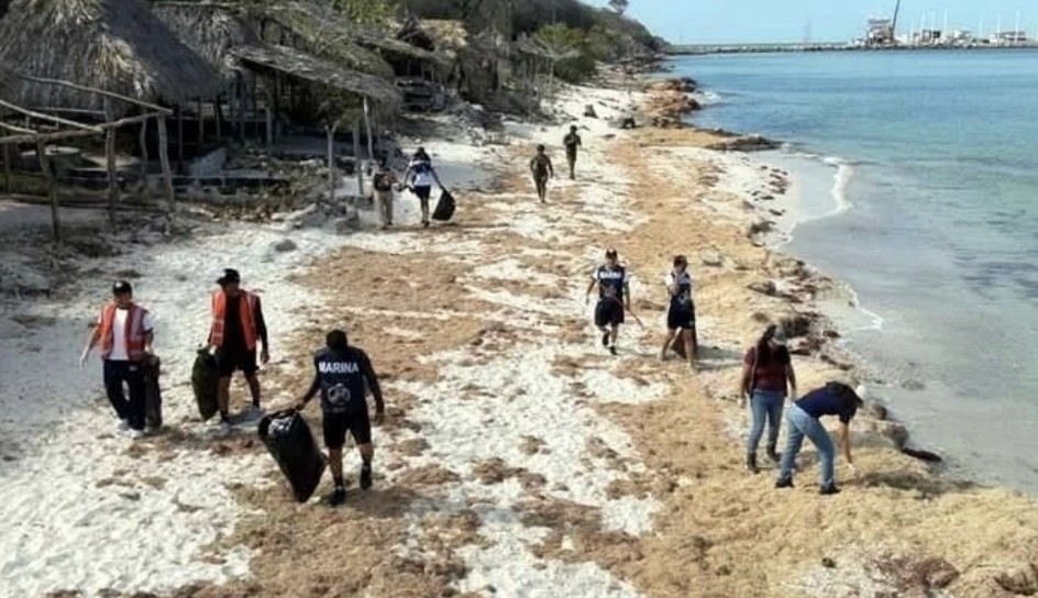 Retiran más de 700 toneladas de hidrocarburo del Golfo; sigue sin identificarse el origen