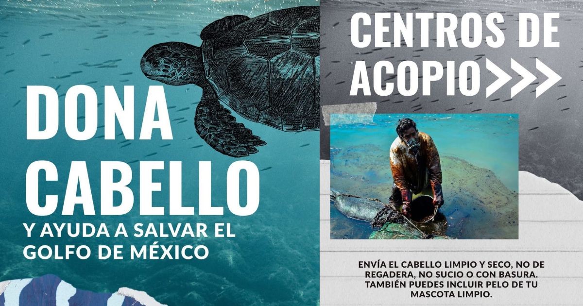 Abren centro de acopio en León para combatir derrame de petróleo: esto es lo que puedes donar