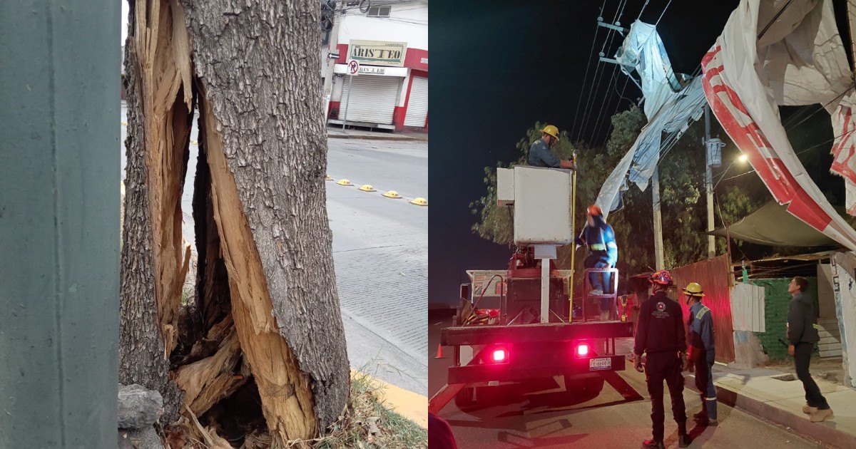Brincolines en cables de tensión, tinacos y árboles caídos: saldo de los fuertes vientos en León por el Frente Frío 42