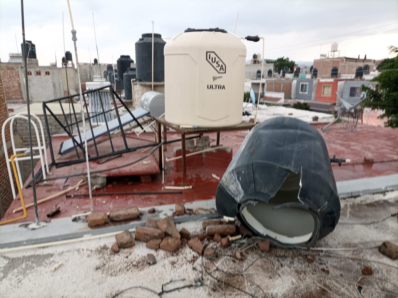 Brincolines en cables de tensión, tinacos y árboles caídos: saldo de los fuertes vientos en León por el Frente Frío 42