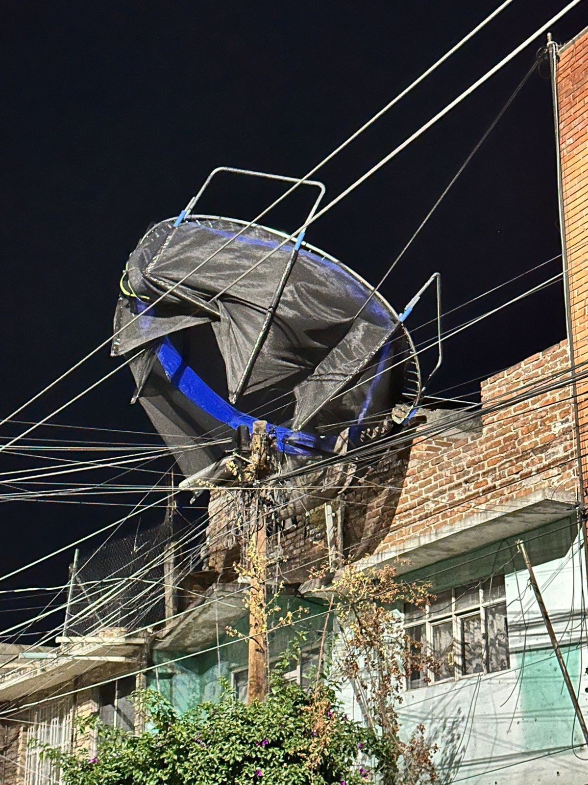 Brincolines en cables de tensión, tinacos y árboles caídos: saldo de los fuertes vientos en León por el Frente Frío 42