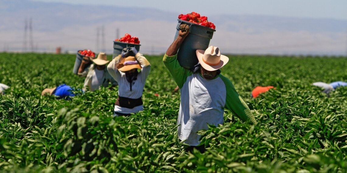 Miguel Márquez alerta en Senado por explotación de trabajadores mexicanos en Canadá