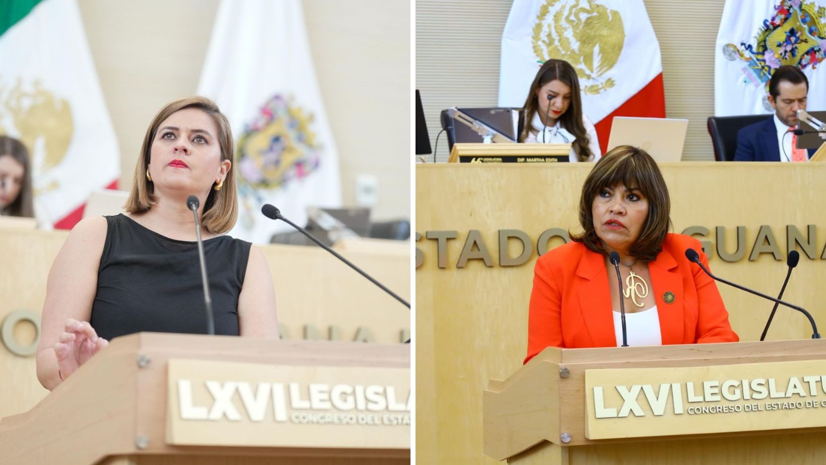 Guanajuato aprueba padrón de agresores sexuales público Guanajuato aprueba padrón de agresores sexuales público