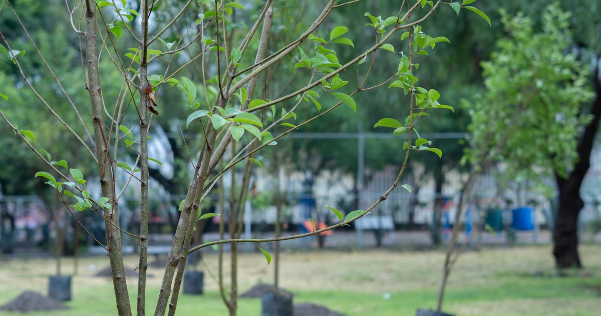 ¿Qué hace un guardaparques en León? Abren convocatoria para 40 guardaparques