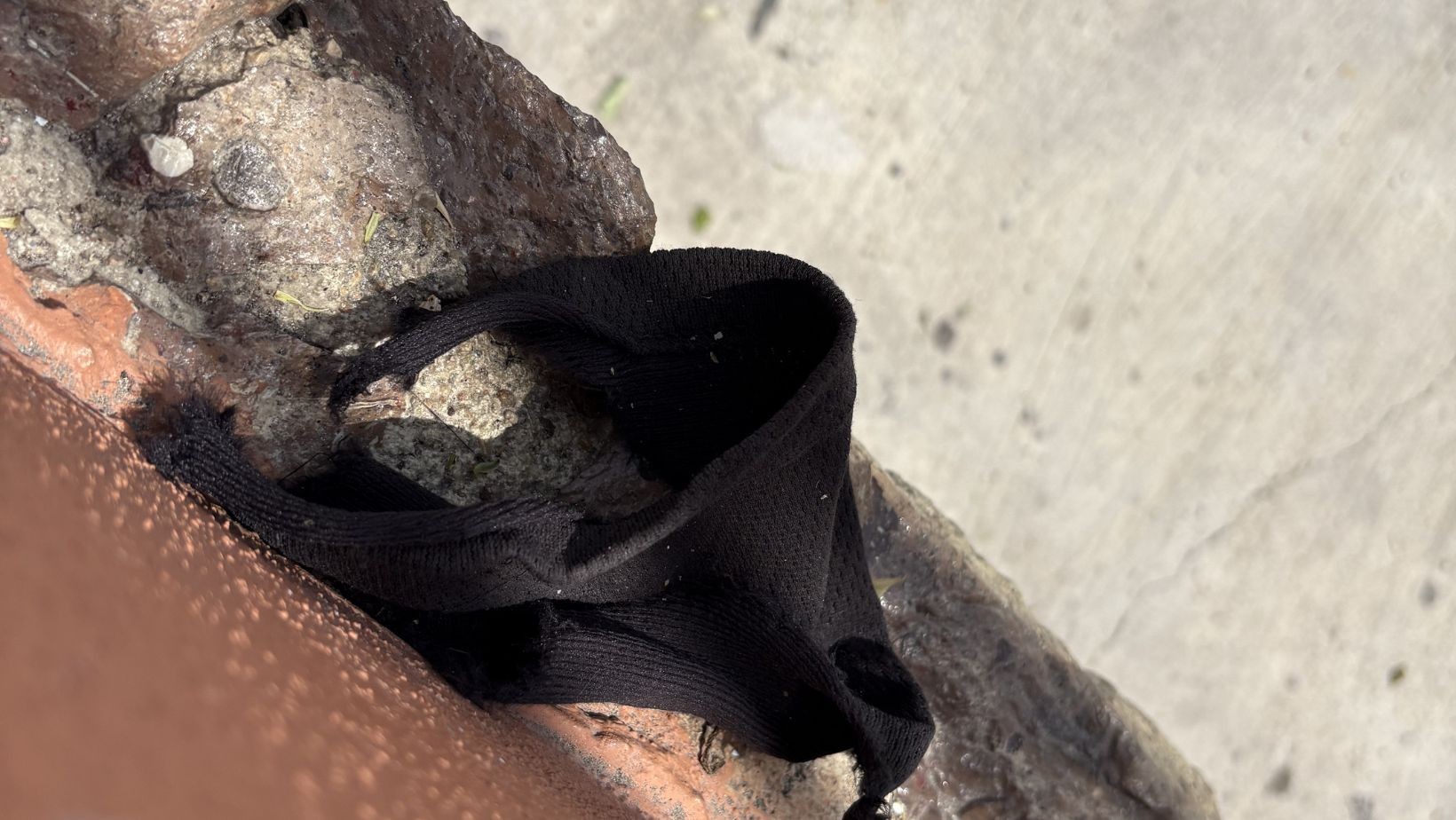 Ratero queda colgado en templo de León tras intento de robo