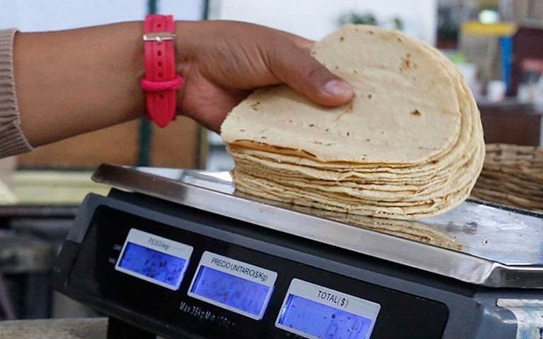 Destinan 3 mdp para que no suba el precio de la tortilla en León