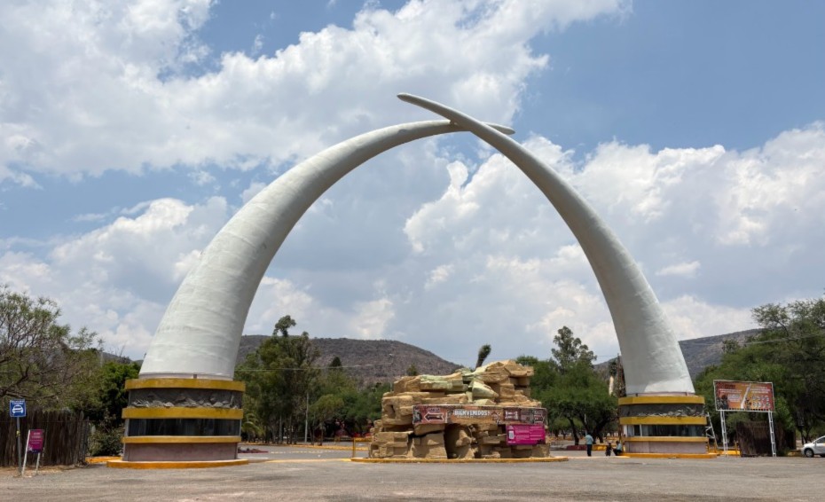 ¡Reabre el Zoológico de León! PROFEPA levanta observaciones y vuelve el acceso al público