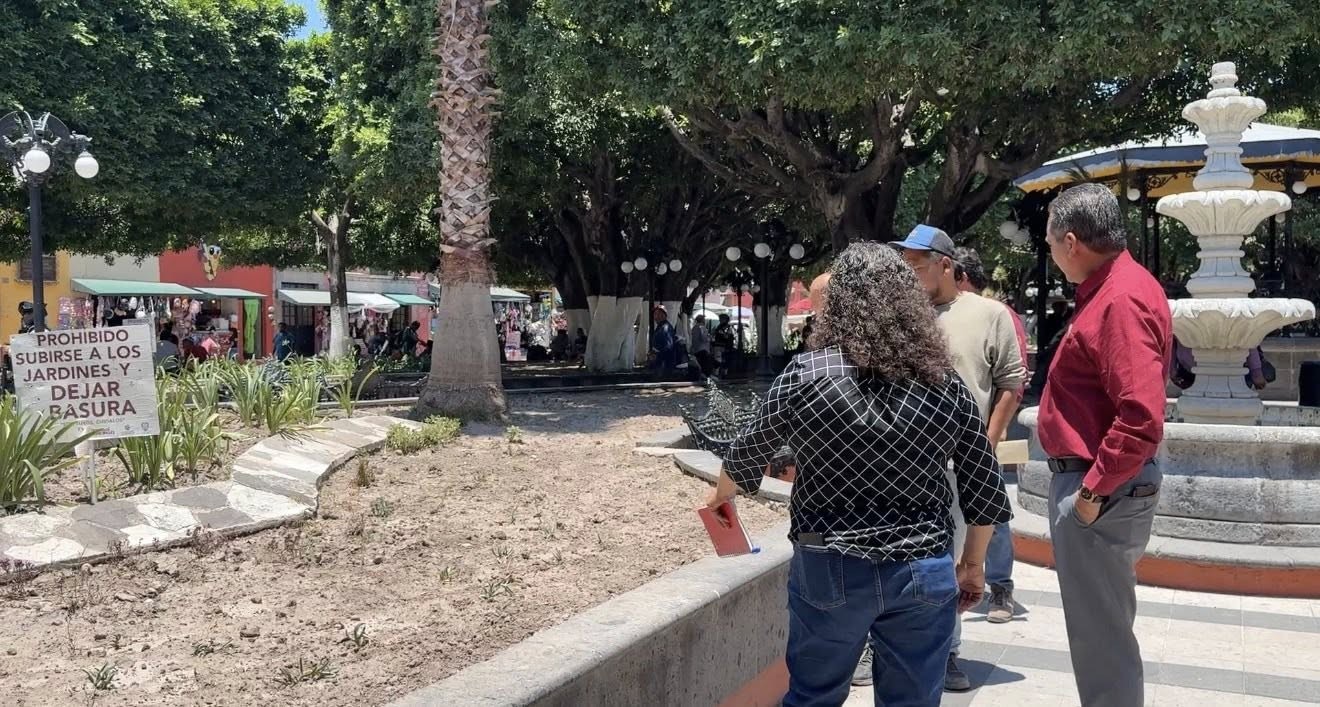 Podarán árboles del jardín principal de Comonfort para combatir plagas