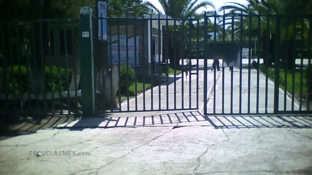 Secundaria de Salvatierra destaca a nivel estatal y recibe reconocimiento RIMA