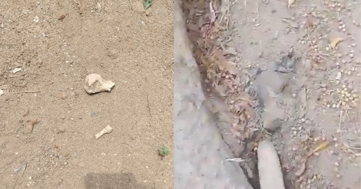 Denuncian restos humanos expuestos en panteones de León; colectivo acusa negativa de acceso a fosas y negligencia