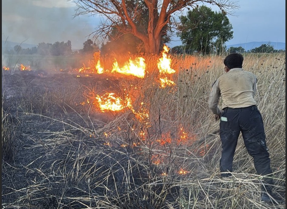 Incendio de pastizal desata polémica política en Salvatierra
