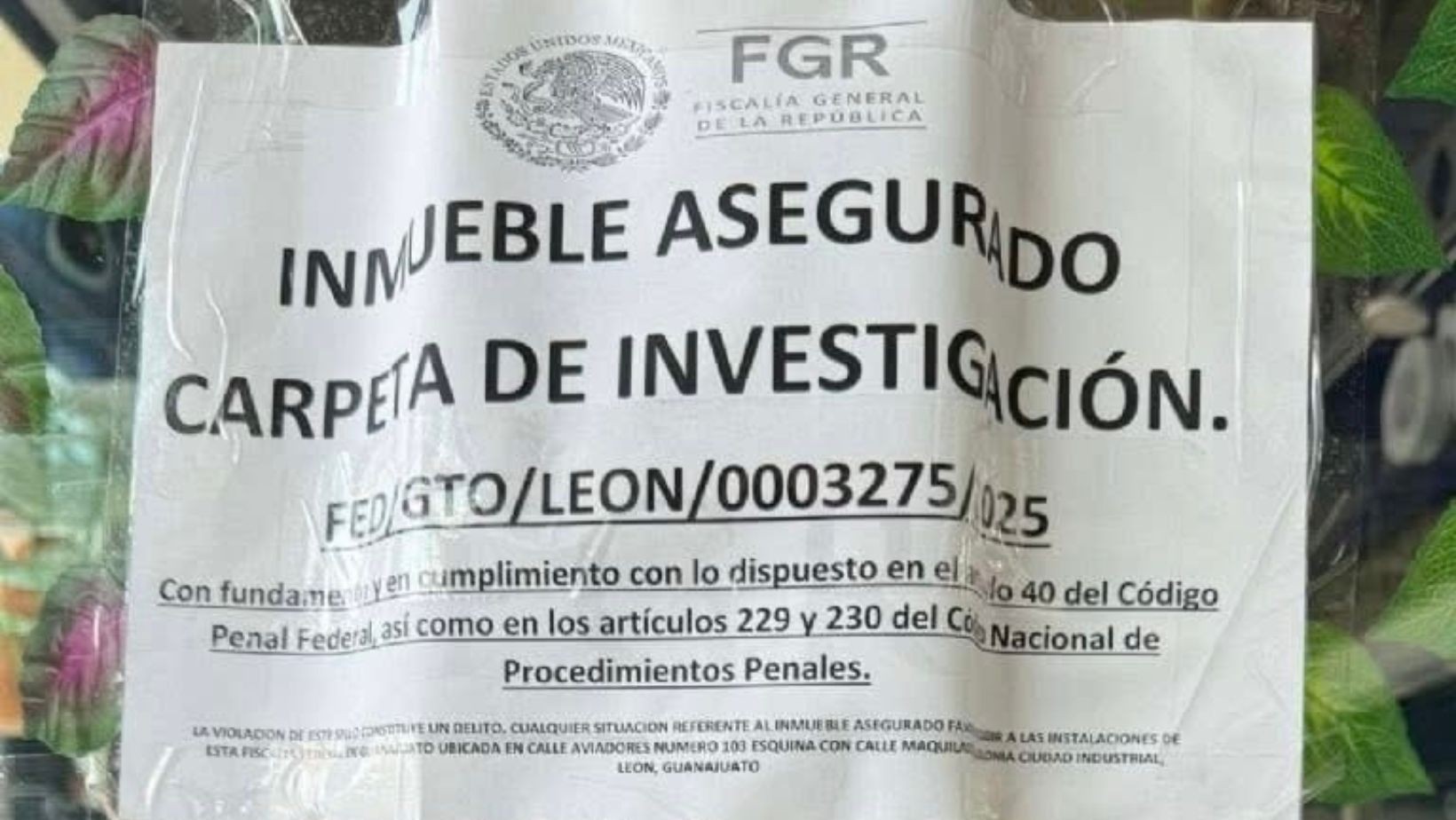 FGR asegura más de 10 tiendas chinas en León por operativo FGR asegura más de 10 tiendas chinas en León por operativo