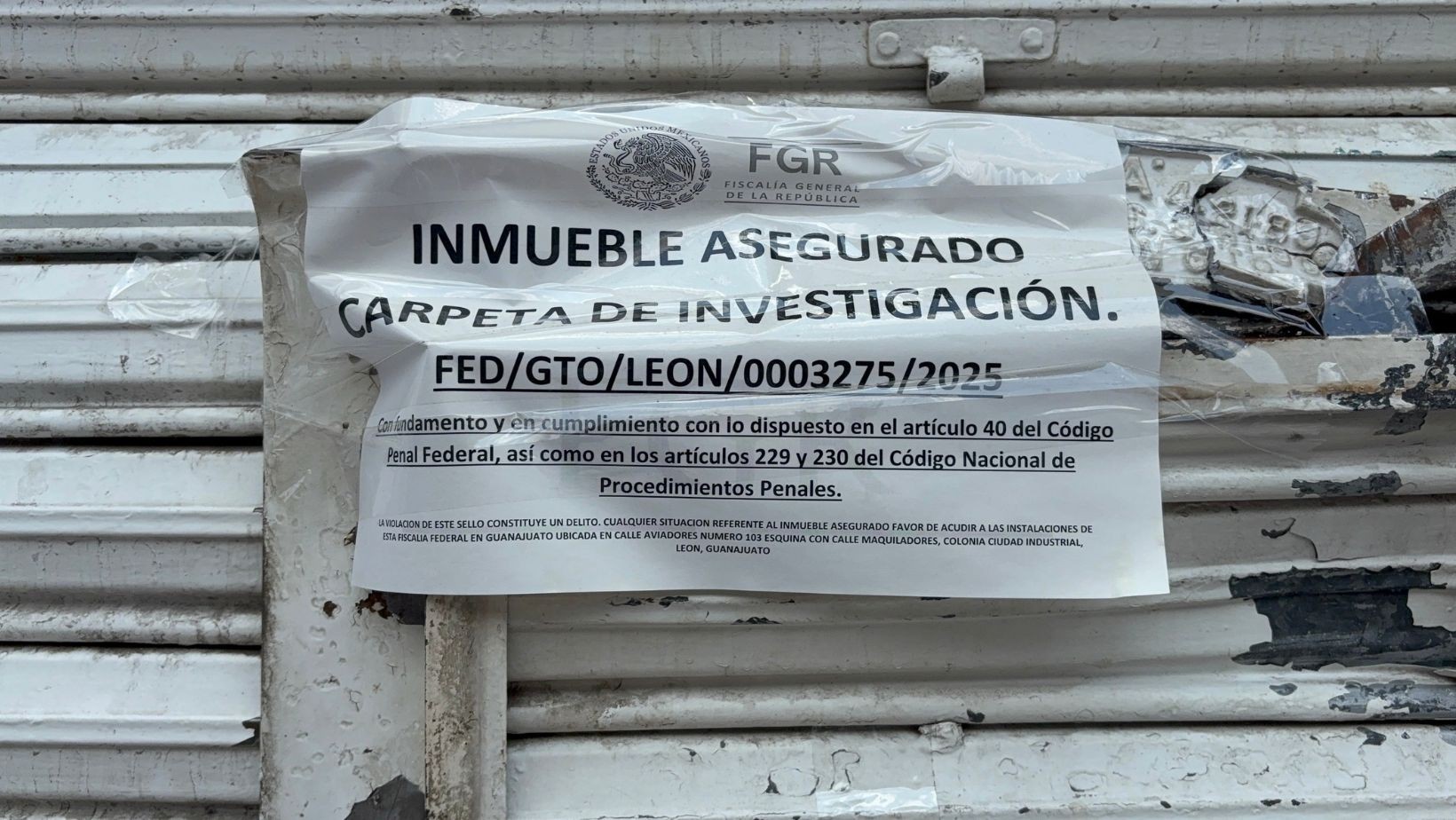 FGR asegura más de 10 tiendas chinas en León por operativo FGR asegura más de 10 tiendas chinas en León por operativo