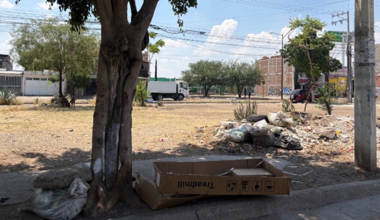 Vecinos denuncian abandono de zonas verdes en Villas de San Juan, en León