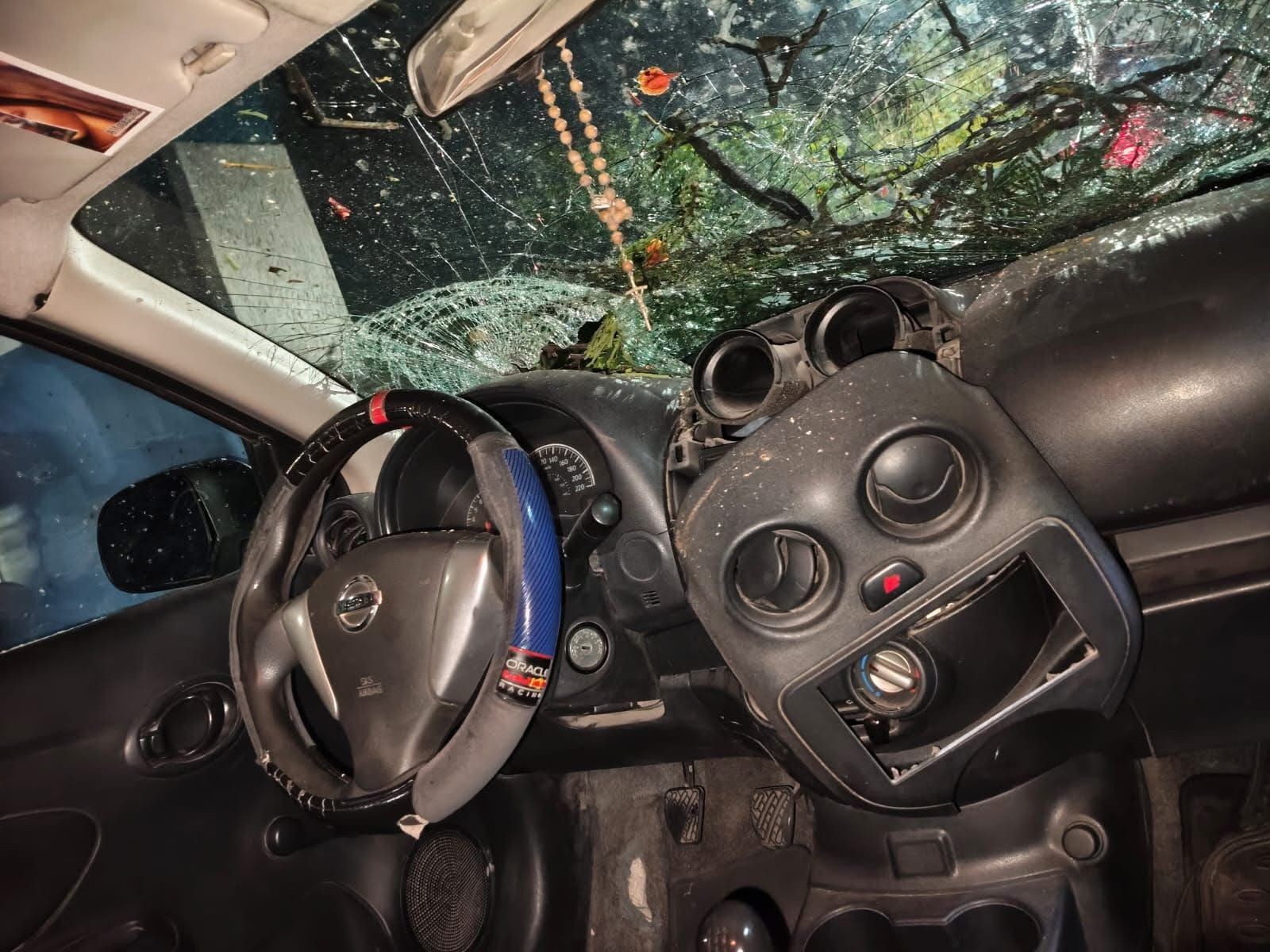Árbol ya había sido reportado por daños antes de caer sobre un auto y dejarlo inservible en León