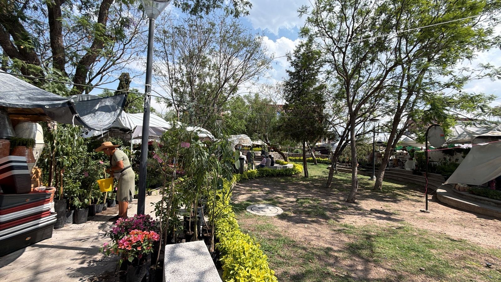 Comerciantes de la Feria del Árbol y la Flor permanecerán una semana más
