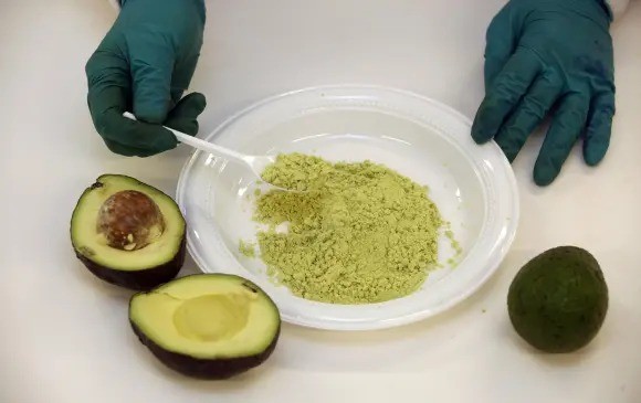 Guacamole en polvo de Guanajuato conquista Japón