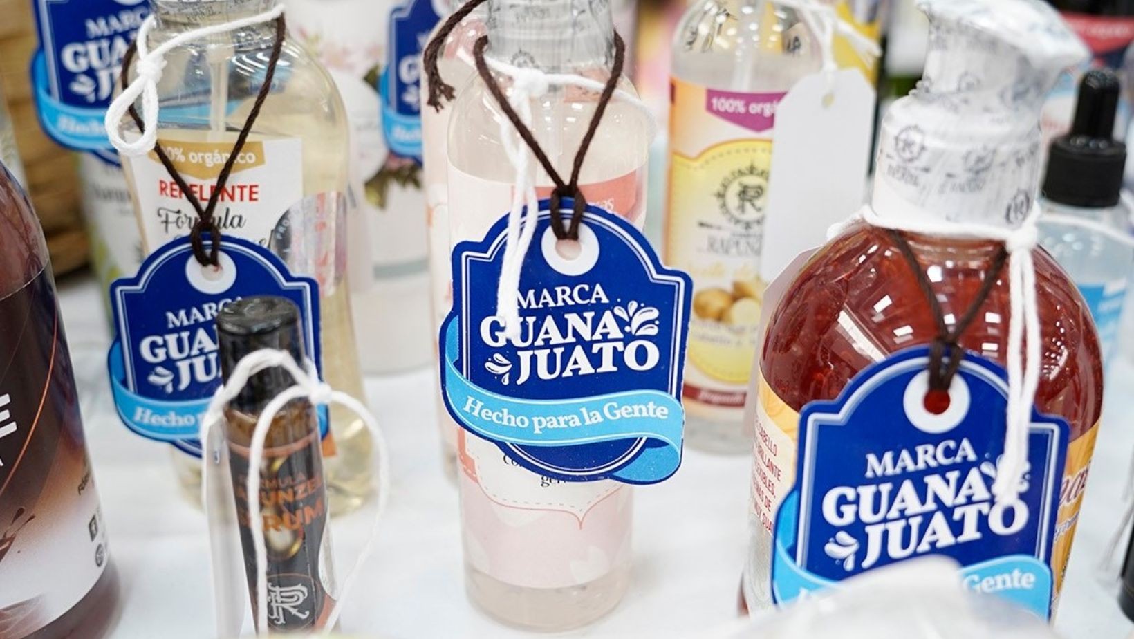 Guanajuato busca conquistar Europa: COFOCE impulsará MIPYMES Guanajuato busca conquistar Europa: COFOCE impulsará MIPYMES