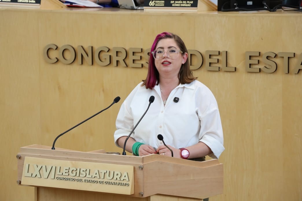 Que se aclare quién ordenó impugnar la sentencia de la SCJN: diputada Sandra Pedroza