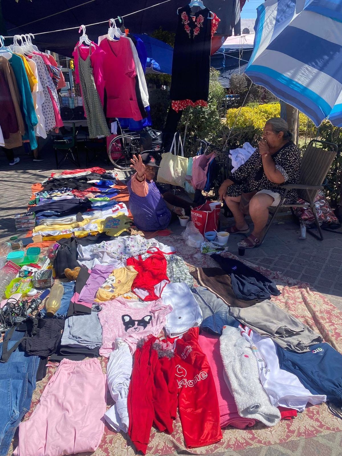 Van contra comerciantes ambulantes en el jardín de San Miguel en León
