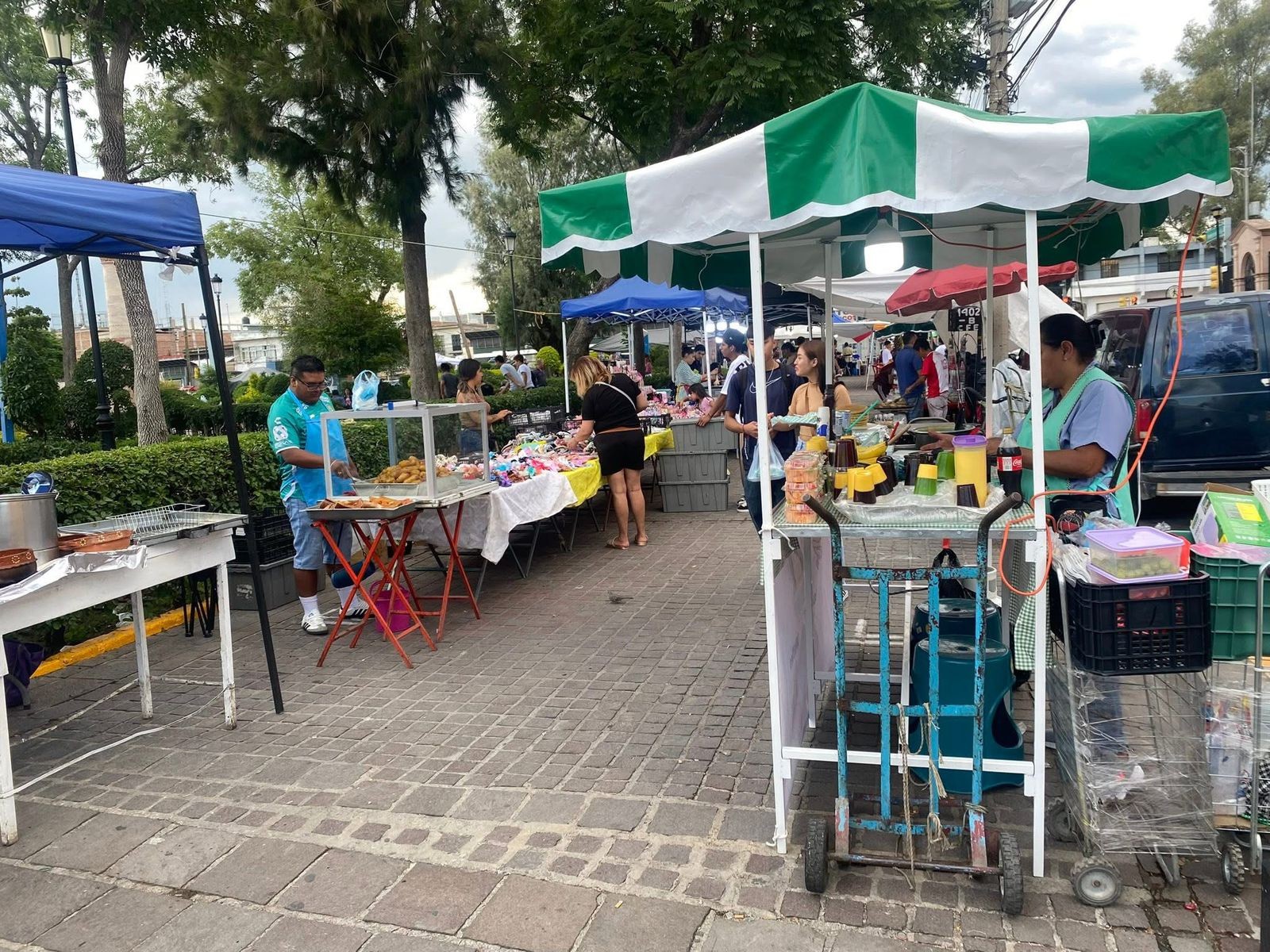 Van contra comerciantes ambulantes en el jardín de San Miguel en León