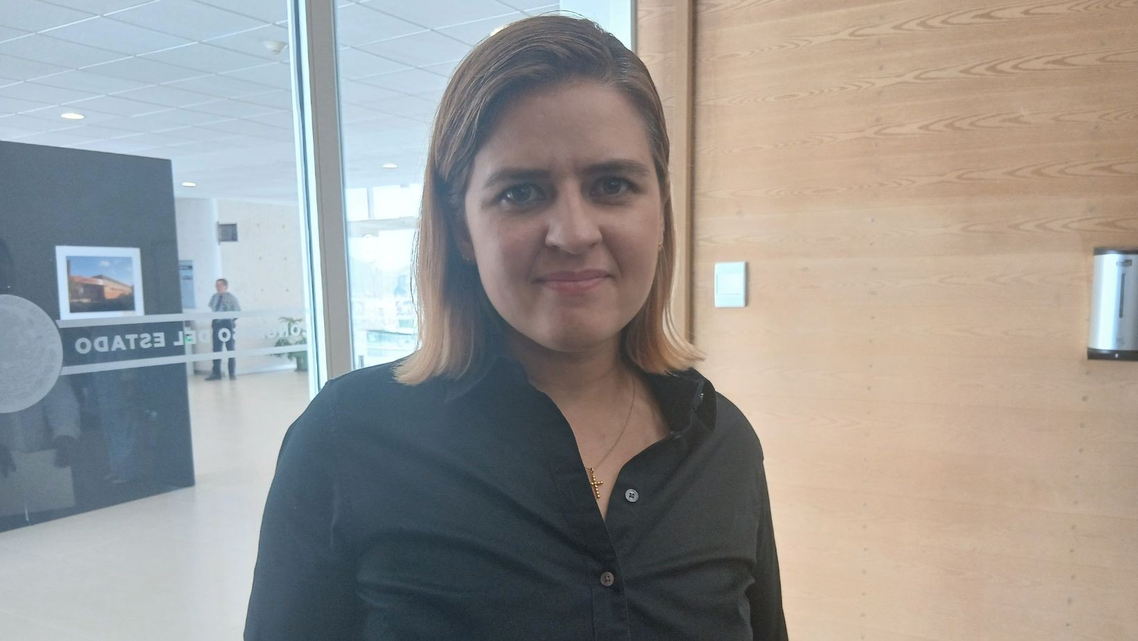Diputada Jared González exige investigar contratos de Allan León