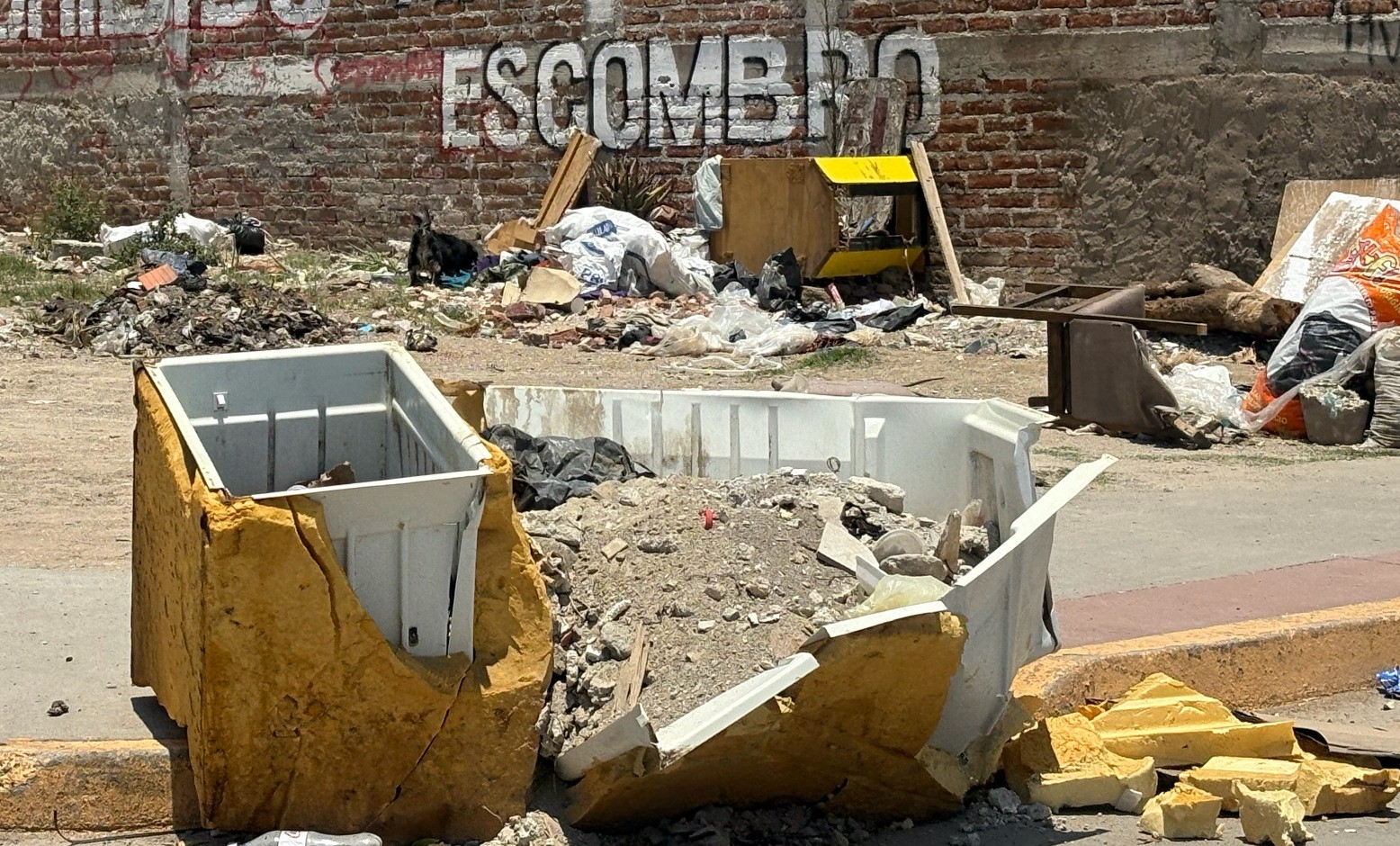 Basurero clandestino persiste en Ampliación San Francisco pese a advertencias